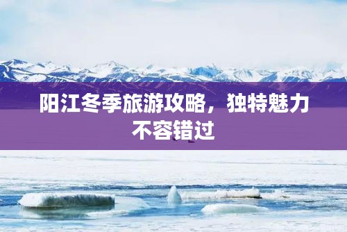 项目介绍 第48页